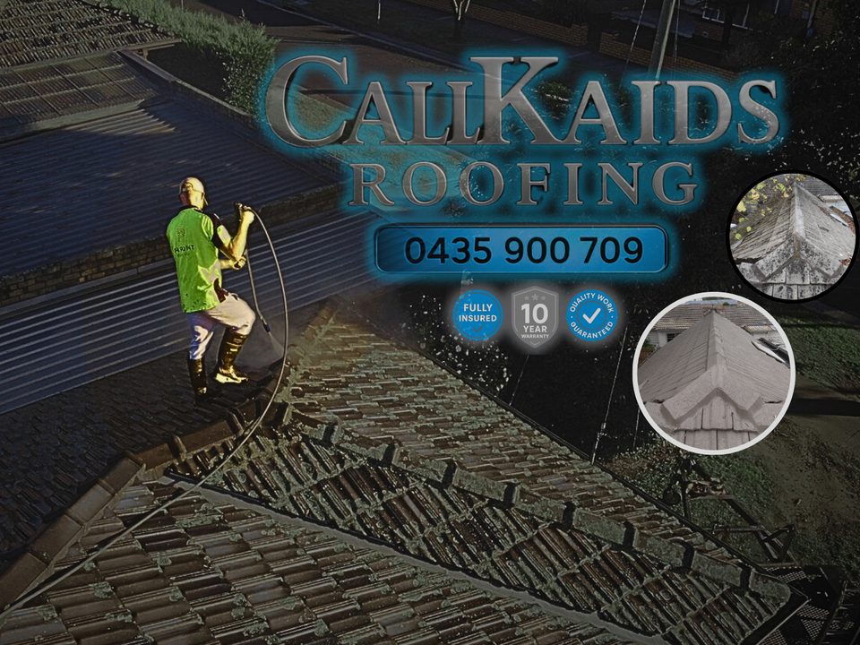 Professional roofing work